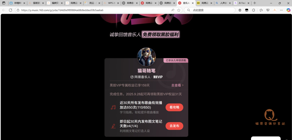 图片[12]-抱歉，我拿下了网易云终身VIP-猫哥资源分享站